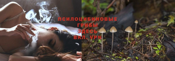 спайс Струнино